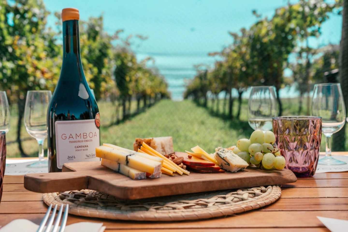 Wine Experience na Vinícola Gamboa: Almoço e Degustação de Vinhos